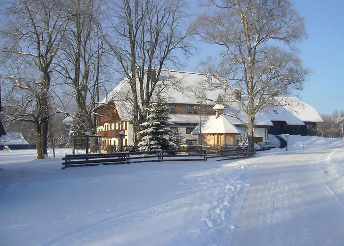 Hermeshof Und Biohaus Titisee-Neustadt